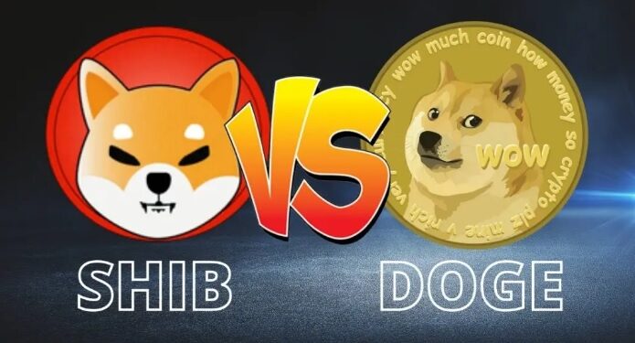 Tin tức coin – Khảo sát: Nếu bạn có 1.000 USD, bạn sẽ mua Shiba Inu hay Dogecoin?