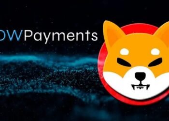 Tin tức coin – NOWPayments sẽ xây dựng gì trên mạng Shibarium của Shiba Inu?