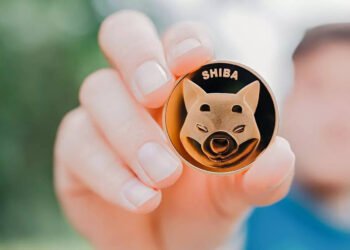 Tin tức coin – 62% người nắm giữ SHIB đang thua lỗ