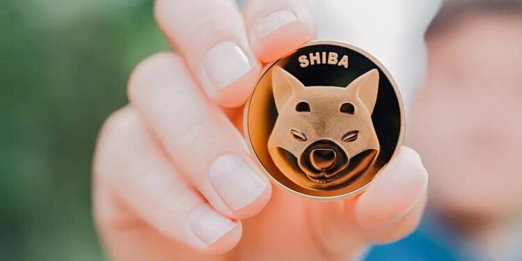 Tin tức coin – 62% người nắm giữ SHIB đang thua lỗ