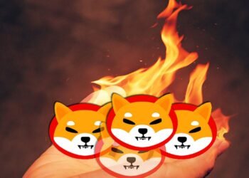 Tin tức coin – Gần 2 tỷ SHIB bị đốt trong 7 ngày qua