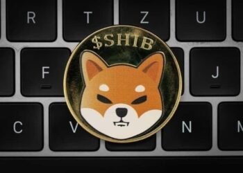 Tin tức coin – Shiba Inu: Shibarium có thể ra mắt sau 2-4 tháng nữa