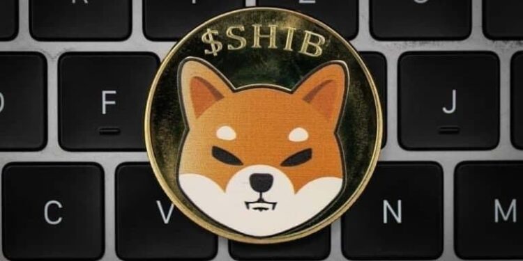 Tin tức coin – Shiba Inu: Shibarium có thể ra mắt sau 2-4 tháng nữa