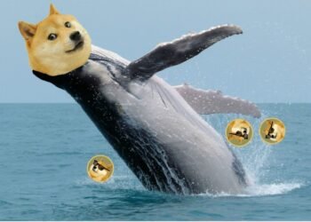 Tin tức coin – 1 Cá voi Dogecoin di chuyển 1.556.994 DOGE sau gần 10 năm