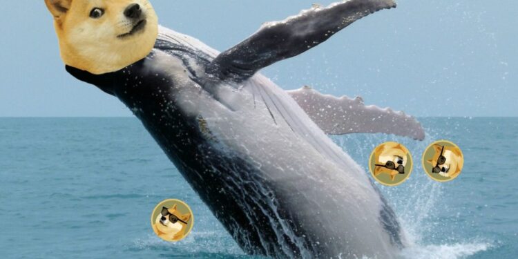 Tin tức coin – 1 Cá voi Dogecoin di chuyển 1.556.994 DOGE sau gần 10 năm