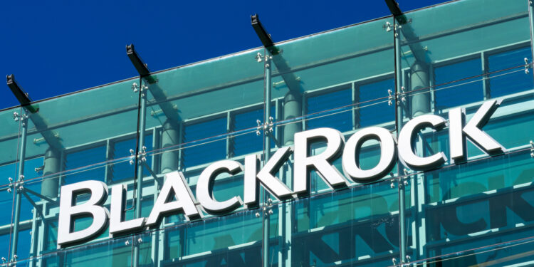 Tin tức coin – Quỹ BlackRock là cá voi PEPE