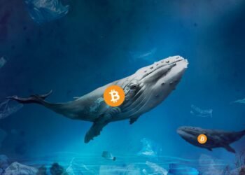 Tin tức coin – Cá voi tiền điện tử là gì? Đây là những điều bạn cần biết