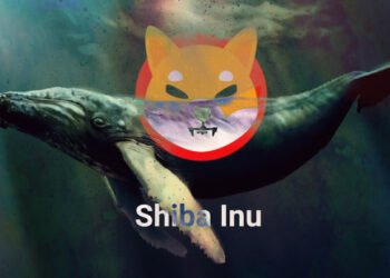 Tin tức coin – 4 nghìn tỷ Shiba Inu (SHIB) được chuyển đến Binance, chuyện gì đang xảy ra?