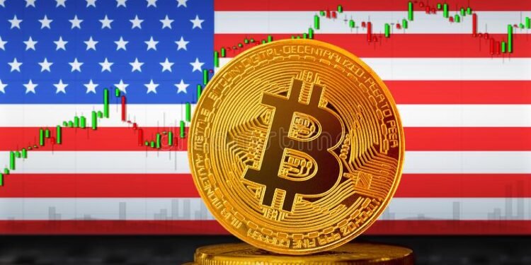 Tin tức coin – Ứng viên ủng hộ BTC đang dẫn trước Biden trong cuộc thăm dò bầu cử tổng thống