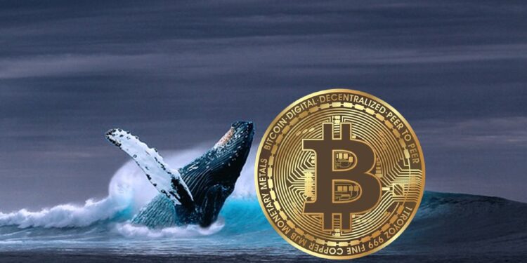 Tin tức coin – Bạn vẫn nên đầu tư vào BTC?