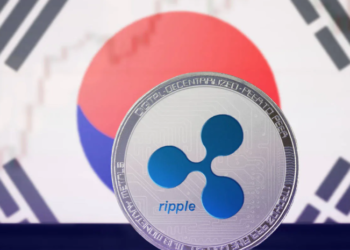 Tin tức coin – Nhà đầu tư Hàn Quốc chọn XRP, Dogecoin thay vì Bitcoin và Ethereum