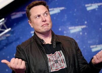 Tin tức coin – Giá bộ sưu tập NFT Milady tăng vọt và hiệu ứng đến từ Elon Musk