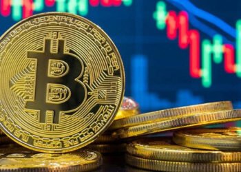 Tin tức coin – Những người nắm giữ Bitcoin dài hạn tích luỹ BTC khi giá BTC giảm so với chỉ số Nasdaq