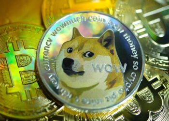 Tin tức coin – Ordinals và memecoin bùng nổ từ Bitcoin sang cả Dogecoin và Litecoin