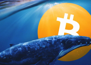 Tin tức coin – Ví bitcoin di chuyển 1,2 triệu đô la sau khi nằm im trong 13 năm