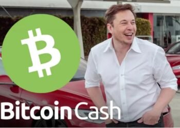 Tin tức coin – Bitcoin Cash (BCH) tăng vọt hơn 20% trong một ngày, đây là lý do tại sao