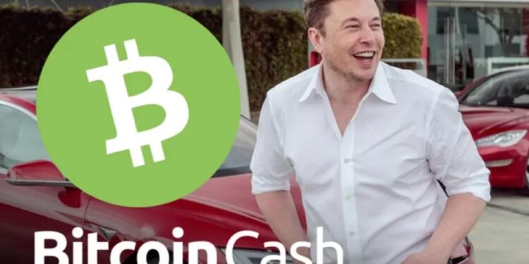 Tin tức coin – Bitcoin Cash (BCH) tăng vọt hơn 20% trong một ngày, đây là lý do tại sao