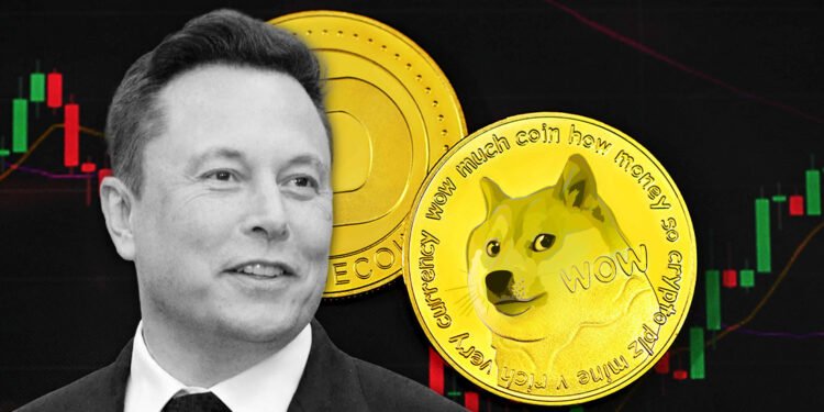 Tin tức coin – Elon Musk từ chối sở hữu ví Dogecoin giữa vụ kiện